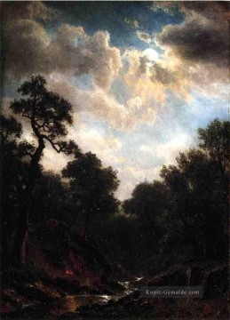  schaf - Moonlit Landschaft Albert Bier